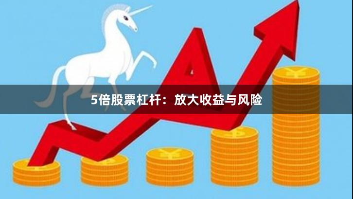 5倍股票杠杆：放大收益与风险