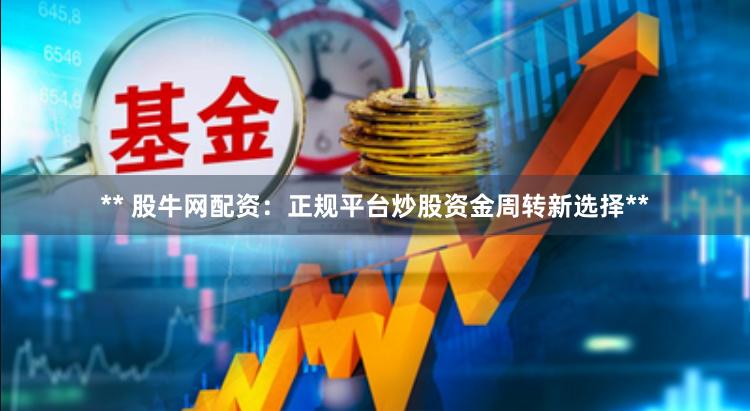 ** 股牛网配资：正规平台炒股资金周转新选择**